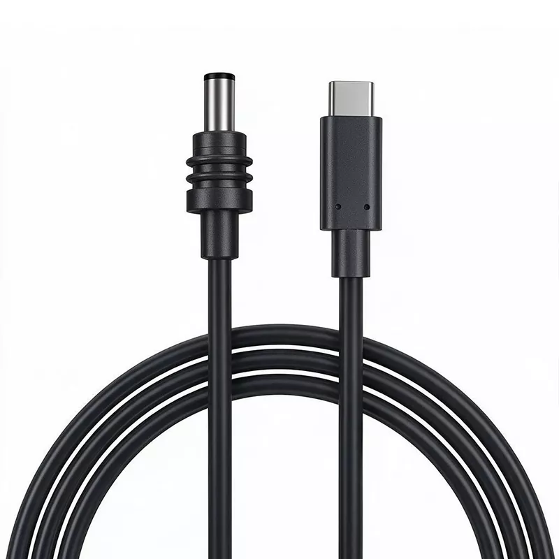 Starlink ミニ DC 電源ケーブル - USB C ケーブル